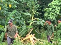 Đọc nhanh bài viết 1016459