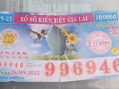 Đọc nhanh bài viết 1016496
