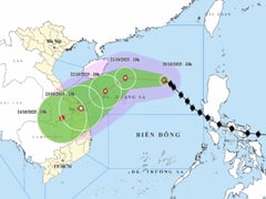 Đọc nhanh bài viết 1016610