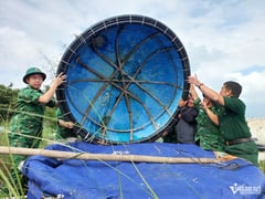Đọc nhanh bài viết 1016828