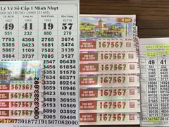 Đọc nhanh bài viết 1016870