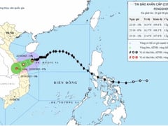 Đọc nhanh bài viết 1017011