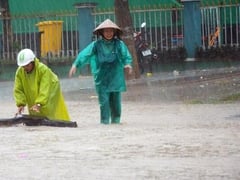 Đọc nhanh bài viết 1017027
