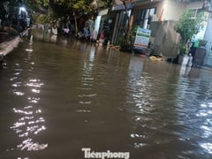 Đọc nhanh bài viết 1017055