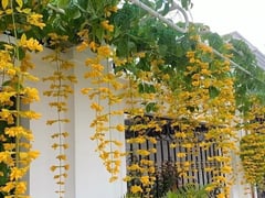 Đọc nhanh bài viết 1017147