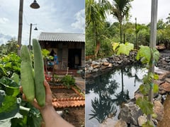 Đọc nhanh bài viết 1017187