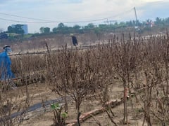 Đọc nhanh bài viết 1017266