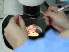 Đọc nhanh bài viết 1017271