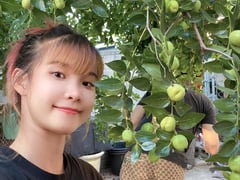 Đọc nhanh bài viết 1017308