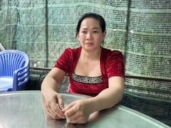 Đọc nhanh bài viết 1017314