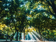 Đọc nhanh bài viết 1017592