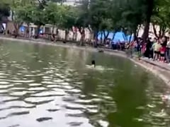 Đọc nhanh bài viết 1017713