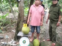Đọc nhanh bài viết 1017731