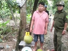 Đọc nhanh bài viết 1017731