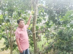 Đọc nhanh bài viết 1017897