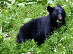 Đọc nhanh bài viết 1017940