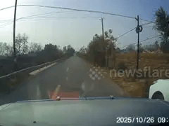 Đọc nhanh bài viết 1017971