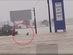 Đọc nhanh bài viết 1018043