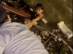 Đọc nhanh bài viết 1018062