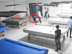 Đọc nhanh bài viết 1018081