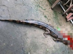 Đọc nhanh bài viết 1018180