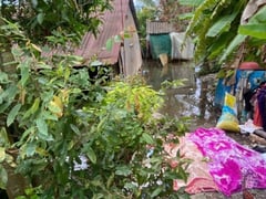 Đọc nhanh bài viết 1018436