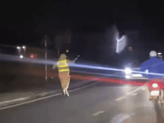 Đọc nhanh bài viết 1018490