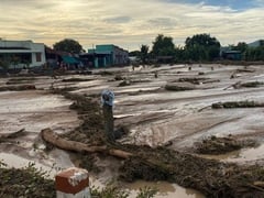 Đọc nhanh bài viết 1018497