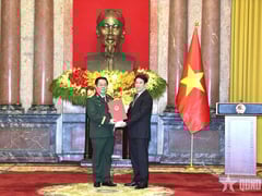 Đọc nhanh bài viết 1018588