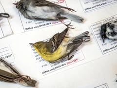 Đọc nhanh bài viết 1018592