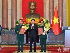 Đọc nhanh bài viết 1018604