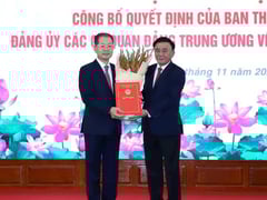 Đọc nhanh bài viết 1018627