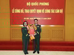 Đọc nhanh bài viết 1018654