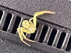 Đọc nhanh bài viết 1018761