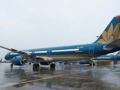 Đọc nhanh bài viết 1018770