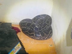 Đọc nhanh bài viết 1018835