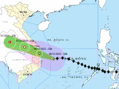 Đọc nhanh bài viết 1018841