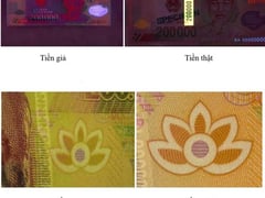 Đọc nhanh bài viết 1018842