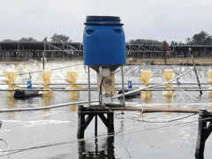 Đọc nhanh bài viết 1018868