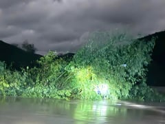 Đọc nhanh bài viết 1018924