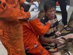 Đọc nhanh bài viết 1019060