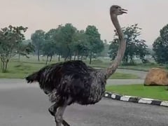 Đọc nhanh bài viết 1019065