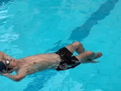 Đọc nhanh bài viết 1019204