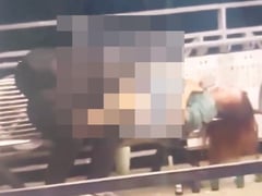 Đọc nhanh bài viết 1019248