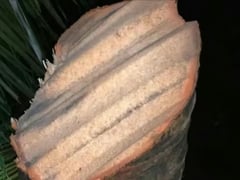 Đọc nhanh bài viết 1019286