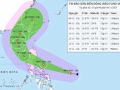 Đọc nhanh bài viết 1019320