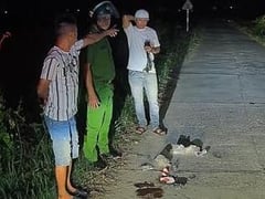 Đọc nhanh bài viết 1019333