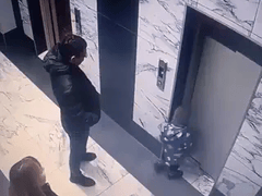 Đọc nhanh bài viết 1019365