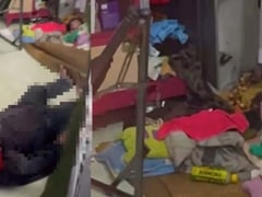 Đọc nhanh bài viết 1019367