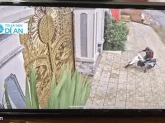 Đọc nhanh bài viết 1019561